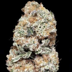 grandpas cookies bud - Weed Delivery Toronto | Cannabis Dispensary | Kind Flowers