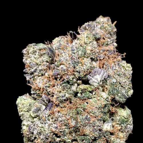 greasy pink bud scaled - Greasy Pink 5 Star/Immaculate B.C Indica Leaning Hybrid KCC Brand