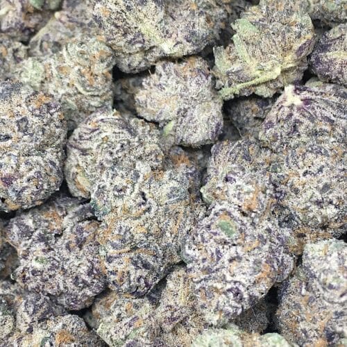 Ice cream mintz buds scaled - Ice Cream Mints 5 Star/Immaculate Craft Indica Leaning Hybrid THC Brand