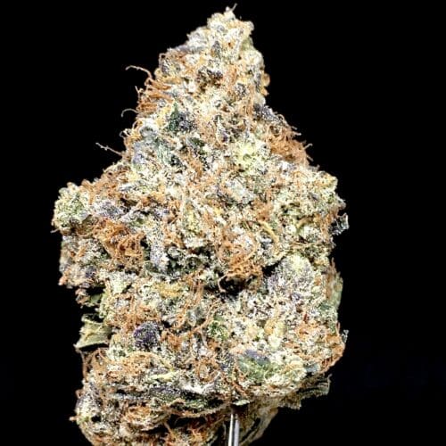 pink ghost bud1 scaled - Pink Ghost 5 Star/Immaculate B.C Craft Indica KCC Brand
