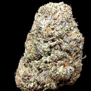 purple peyote bud - Weed Delivery Toronto | Cannabis Dispensary | Kind Flowers