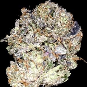 captain pink new - Weed Delivery Vaughan | Kind Flowers