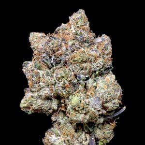 painkiller pink - Weed Delivery Toronto | Cannabis Dispensary | Kind Flowers